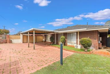 House For Sale - WA - Morley - 6062 - Prime Convenience  & Move‑In Ready  (Image 2)