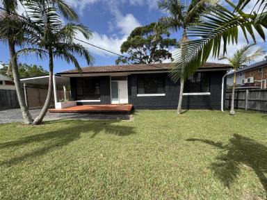 House For Lease - NSW - Frenchs Forest - 2086 - Premium Location Cosy House  (Image 2)