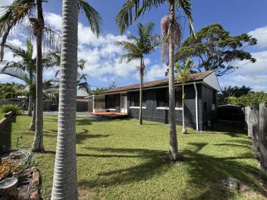 House For Lease - NSW - Frenchs Forest - 2086 - Premium Location Cosy House  (Image 2)