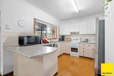 House Auction - QLD - Belvedere - 4860 - Solid Three Bedroom Home with No Rear Neighbours, Shed and Solar  (Image 2)