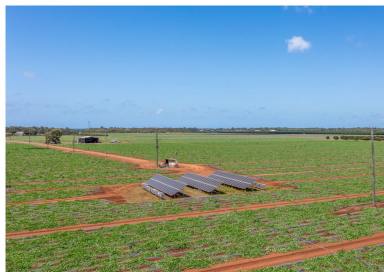 Horticulture For Sale - QLD - Calavos - 4670 - Premier Coastal Agribusiness Opportunity  (Image 2)