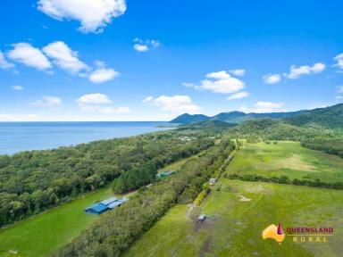 Other (Rural) For Sale - QLD - Bramston Beach - 4871 - Bramston Beach - North Qld  (Image 2)