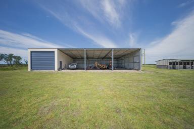 Lifestyle Auction - NSW - Williamtown - 2318 - 'Hampden Park' - A property of Distinction  (Image 2)