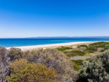 Residential Block For Sale - TAS - Coles Bay - 7215 - Exceptional Virtual Waterfront Opportunity  (Image 2)