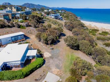 Residential Block For Sale - TAS - Coles Bay - 7215 - Exceptional Virtual Waterfront Opportunity  (Image 2)