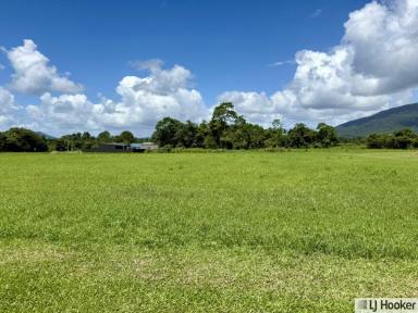 Residential Block For Sale - QLD - Tully - 4854 - Discover Your Slice of Paradise in Tully!  (Image 2)