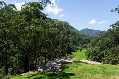 Lifestyle For Sale - NSW - Laguna - 2325 - Peaceful, Private & Picturesque!  (Image 2)
