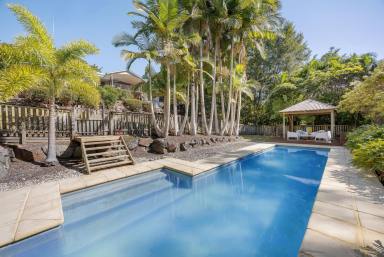 House For Lease - QLD - Doonan - 4562 - Private Hinterland Retreat  (Image 2)