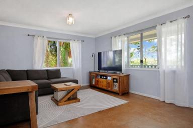 House For Sale - QLD - Macleay Island - 4184 - Comfortable Living - Family Home - Capture Island Breezes  (Image 2)