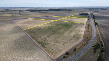 Other (Rural) Auction - SA - Millicent - 5280 - Prime Cropping and Grazing Opportunity  (Image 2)