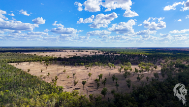 Mixed Farming For Sale - NSW - Jacks Creek - 2390 - YOUR OWN RURAL PARADISE AWAITS  (Image 2)