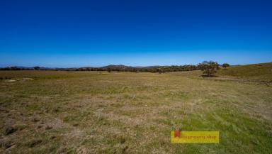Other (Rural) For Sale - NSW - Mudgee - 2850 - "BESSIE'S" PRODUCTIVE ACRES, ENDLESS POTENTIAL  (Image 2)