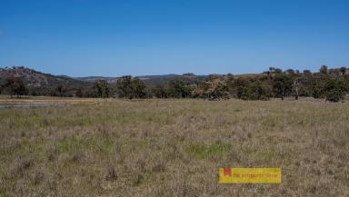 Other (Rural) For Sale - NSW - Mudgee - 2850 - "BESSIE'S" PRODUCTIVE ACRES, ENDLESS POTENTIAL  (Image 2)