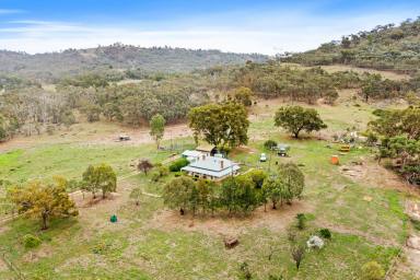 Lifestyle For Sale - NSW - Gulgong - 2852 - COUNTRY HOMESTEAD ON 46 ACRES - "MOUNT MOLLY"  (Image 2)