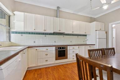 Lifestyle For Sale - NSW - Gulgong - 2852 - COUNTRY HOMESTEAD ON 46 ACRES - "MOUNT MOLLY"  (Image 2)