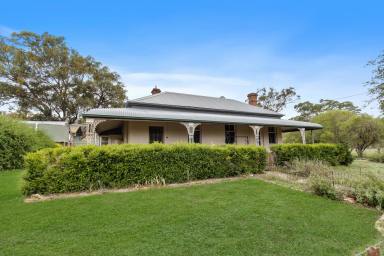Lifestyle For Sale - NSW - Gulgong - 2852 - COUNTRY HOMESTEAD ON 46 ACRES - "MOUNT MOLLY"  (Image 2)