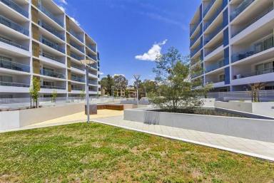 Apartment For Sale - ACT - Belconnen - 2617 - Level 7 Oracle Apartment | Sunny 2-Bed Ensuite with Views & 2 Car Spaces  (Image 2)