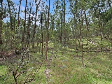 Residential Block For Sale - VIC - Omeo - 3898 - THE PERFECT WEEKEND ESCAPE – 55 ACRES NEAR OMEO  (Image 2)