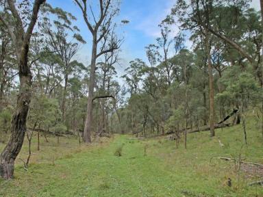 Residential Block For Sale - VIC - Omeo - 3898 - THE PERFECT WEEKEND ESCAPE – 55 ACRES NEAR OMEO  (Image 2)