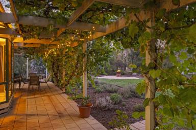 House For Sale - VIC - Violet Town - 3669 - Wide, Private and Wonderfully Versatile - A Standout Violet Town Property  (Image 2)