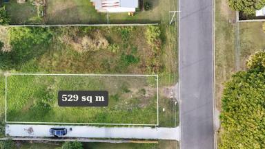 Residential Block For Sale - QLD - Ebbw Vale - 4304 - Flat & Flood-Free Vacant Land, 35 minutes from Brisbane CBD  (Image 2)