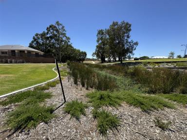 Residential Block For Sale - WA - South Guildford - 6055 - A Rare Opportunity to Secure Land with South Guildford Convenience & Hazelmere Charm  (Image 2)