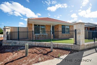 House For Sale - WA - Yanchep - 6035 - Parkside Perfection  (Image 2)