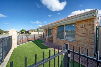 House For Sale - WA - Yanchep - 6035 - Parkside Perfection  (Image 2)