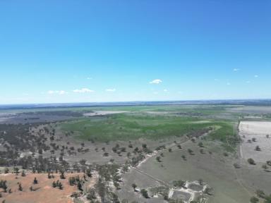 Mixed Farming For Sale - NSW - Urana - 2645 - “Ideal add on or starter block with versatility and huge potential"  (Image 2)