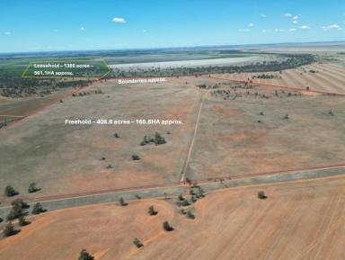 Mixed Farming For Sale - NSW - Urana - 2645 - “Ideal add on or starter block with versatility and huge potential"  (Image 2)