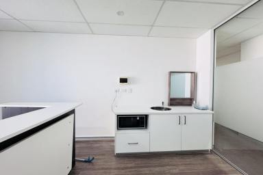 Office(s) For Sale - NSW - Burwood - 2134 - Office for Sale with Existing Lease (Image 2)