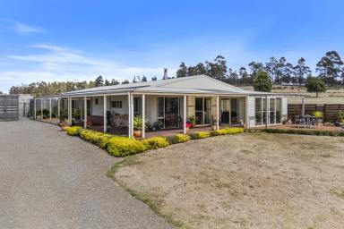 House For Sale - TAS - Copping - 7174 - Rare 100-Acre Lifestyle Holding. Privacy, Space & Serenity 35 Minutes From Hobart  (Image 2)