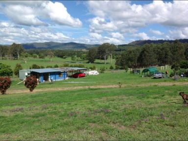 Lifestyle For Sale - NSW - Bonalbo - 2469 - PICTURE PERFECT  (Image 2)