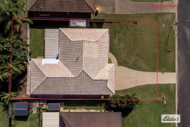 House For Sale - QLD - Gatton - 4343 - ELEVATED HOME - MULTIPLE LIVING AREAS (Image 2)