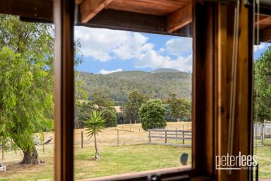 House For Sale - TAS - Hillwood - 7252 - Lifestyle Opportunity on Acreage  (Image 2)