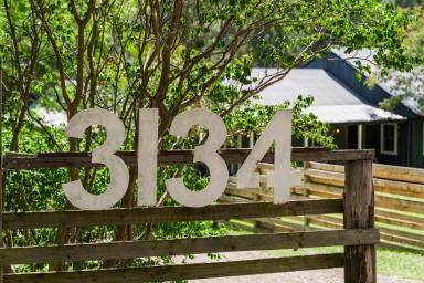 Acreage/Semi-rural For Sale - NSW - Milbrodale - 2330 - Hamilton Park | Tranquil Retreat  (Image 2)