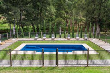 Acreage/Semi-rural Sold - NSW - Milbrodale - 2330 - Hamilton Park | Tranquil Retreat  (Image 2)