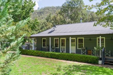 Acreage/Semi-rural For Sale - NSW - Milbrodale - 2330 - Hamilton Park | Tranquil Retreat  (Image 2)