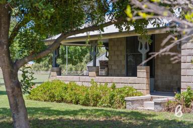 Other (Rural) For Sale - NSW - Singleton - 2330 - "Avalon Park" – Lifestyle Acreage on the edge of Singleton.  (Image 2)