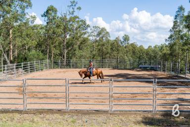 Lifestyle For Sale - NSW - Singleton - 2330 - "IRONBARK RIDGE" | 30 ACRES ON THE FRINGE OF TOWN  (Image 2)