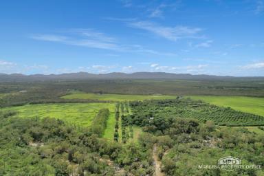 Lifestyle For Sale - QLD - Mareeba - 4880 - A RARE CREEKFRONT FARMING & LIFESTYLE HOLDING JUST MINUTES FROM MAREEBA  (Image 2)