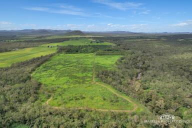Lifestyle For Sale - QLD - Mareeba - 4880 - A RARE CREEKFRONT FARMING & LIFESTYLE HOLDING JUST MINUTES FROM MAREEBA  (Image 2)