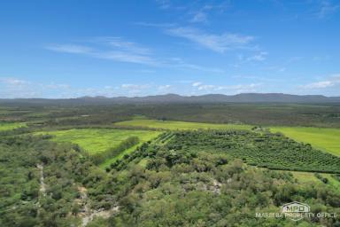 Lifestyle For Sale - QLD - Mareeba - 4880 - A RARE CREEKFRONT FARMING & LIFESTYLE HOLDING JUST MINUTES FROM MAREEBA  (Image 2)