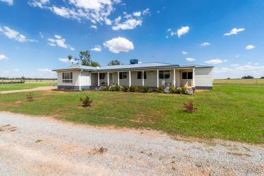 House For Sale - NSW - Coolamon - 2701 - Brilliant 4 Bedroom Home and Lifestyle Property (Image 2)