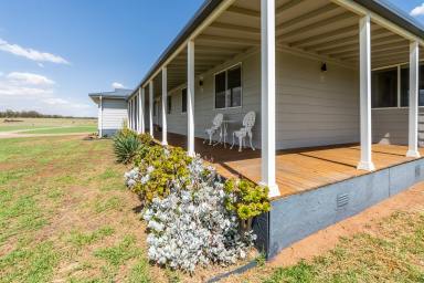 House For Sale - NSW - Coolamon - 2701 - Brilliant 4 Bedroom Home and Lifestyle Property (Image 2)