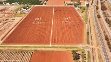 Viticulture For Sale - NSW - Yenda - 2681 - GROW YOUR OWN (Image 2)