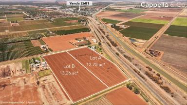 Viticulture For Sale - NSW - Yenda - 2681 - GROW YOUR OWN (Image 2)