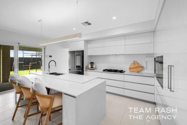 House For Sale - WA - Banksia Grove - 6031 - MODERN LUXURY MEETS FAMILY LIVING  (Image 2)