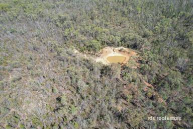 Lifestyle For Sale - NSW - Warialda - 2402 - 293 ACRES WITH BUILDING ENTITLEMENT  (Image 2)