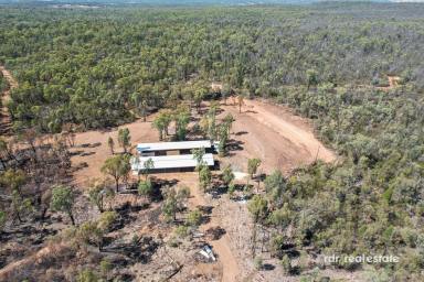 Lifestyle For Sale - NSW - Warialda - 2402 - 293 ACRES WITH BUILDING ENTITLEMENT  (Image 2)